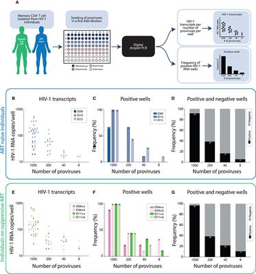 Modest de novo Reactivation of Single HIV-1 Proviruses in Peripheral CD4+ T Cells by Romidepsin